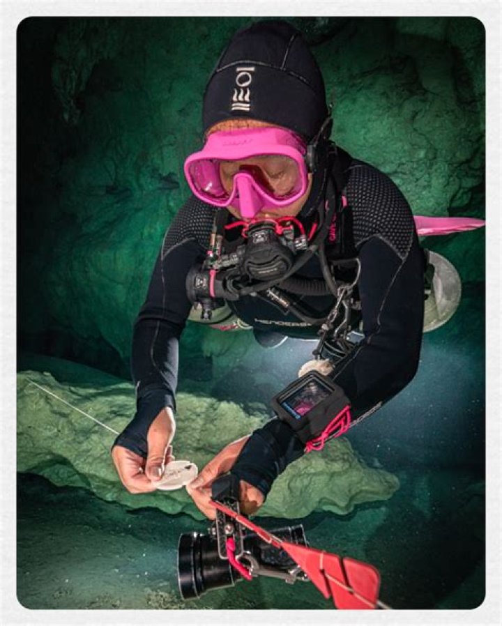 Science Diving — WOMEN IN OCEAN SCIENCE