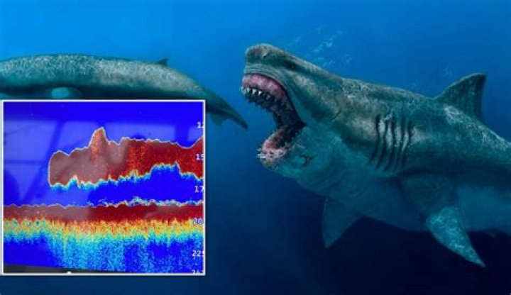 Scientists are shocked to find a 50footlong 'megalodon' in the