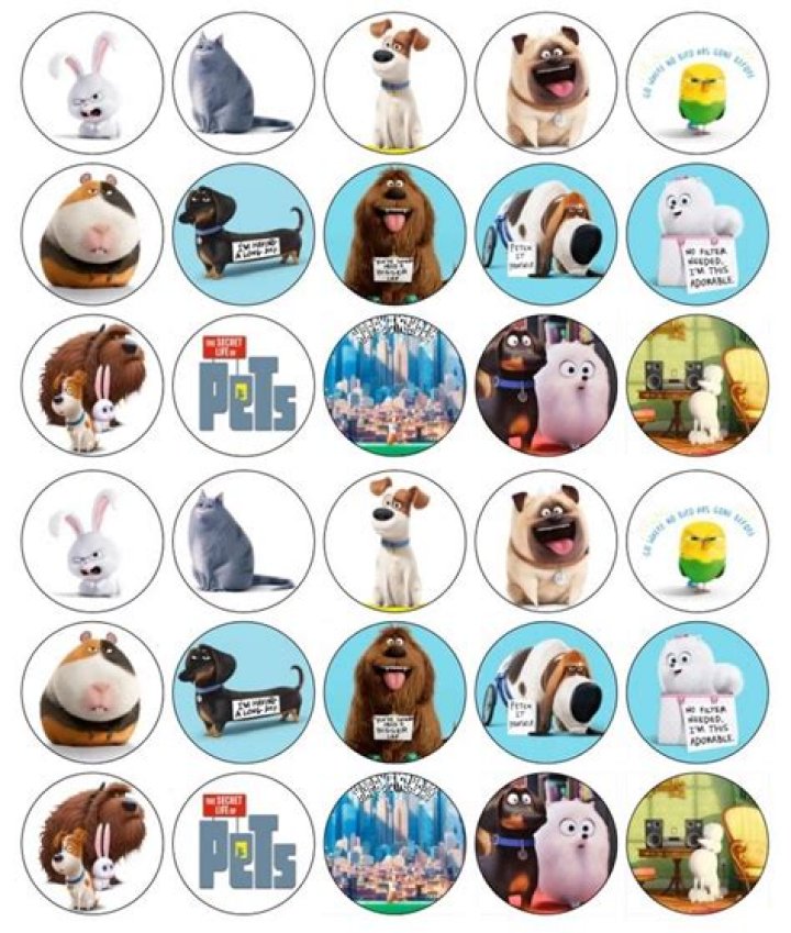Secret Life Of Pets Printable Coloring Pages