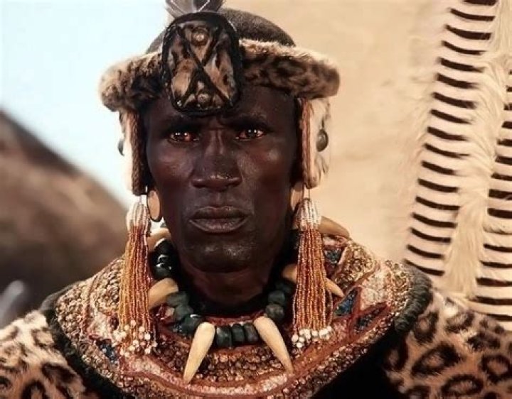 Shaka Zulu Henry Cele Shaka Zulu TV series Profile