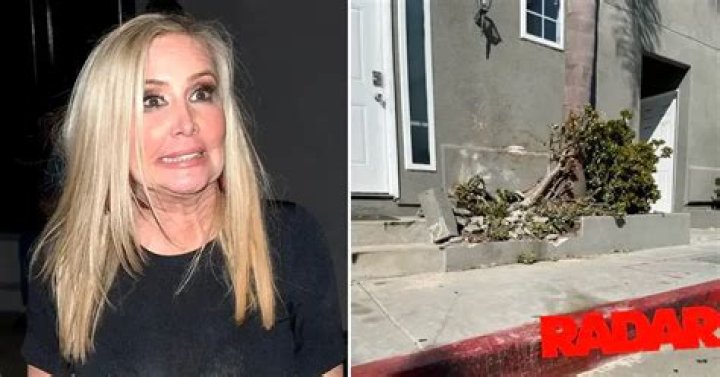 Shannon Beador DUI Arrest Update as Friends Reveal Details of Car Accident