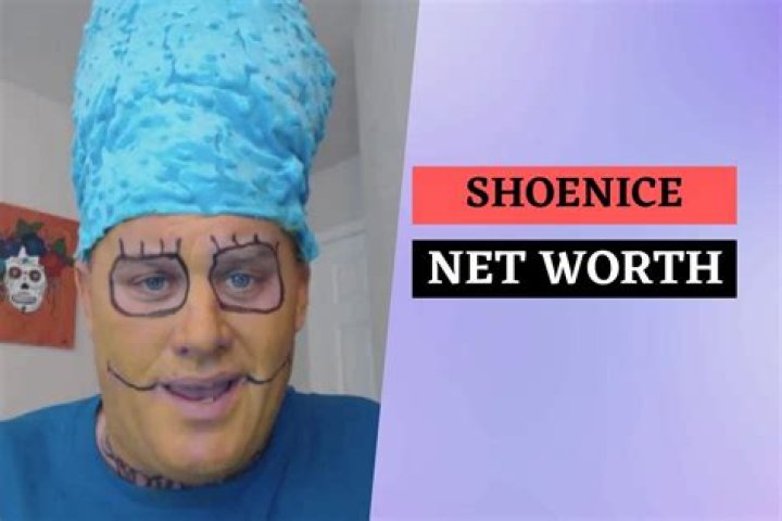Shoenice Net Worth 2022 Does He Generate Any Wealth From His YouTube