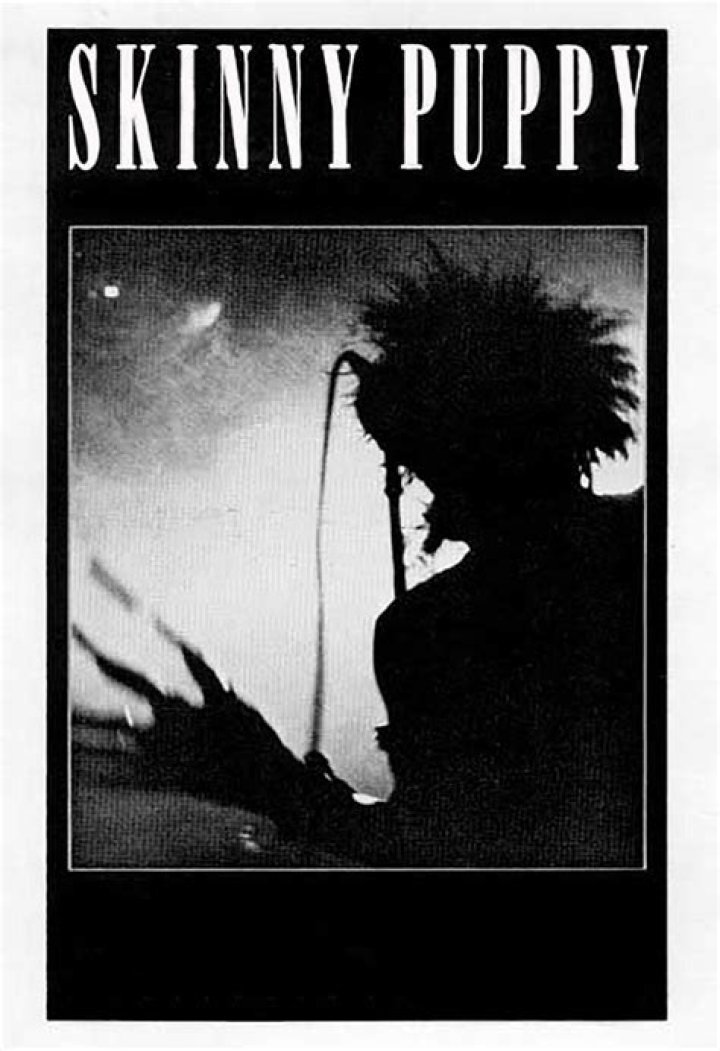 Skinny Puppy flyer Skinny puppy, Punk poster, Band posters