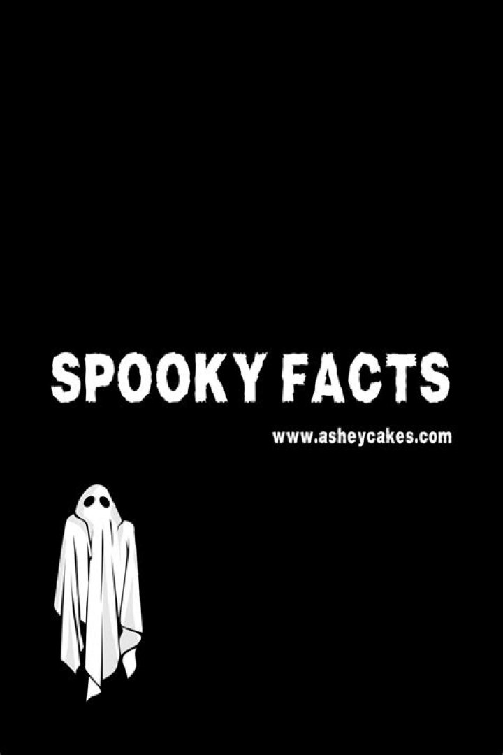 Spinning Spooky Facts Into Fiction Lunch Ticket