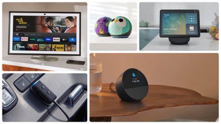 Spottdrossel Tempus Budget echo show reset button Schalter Am weitesten
