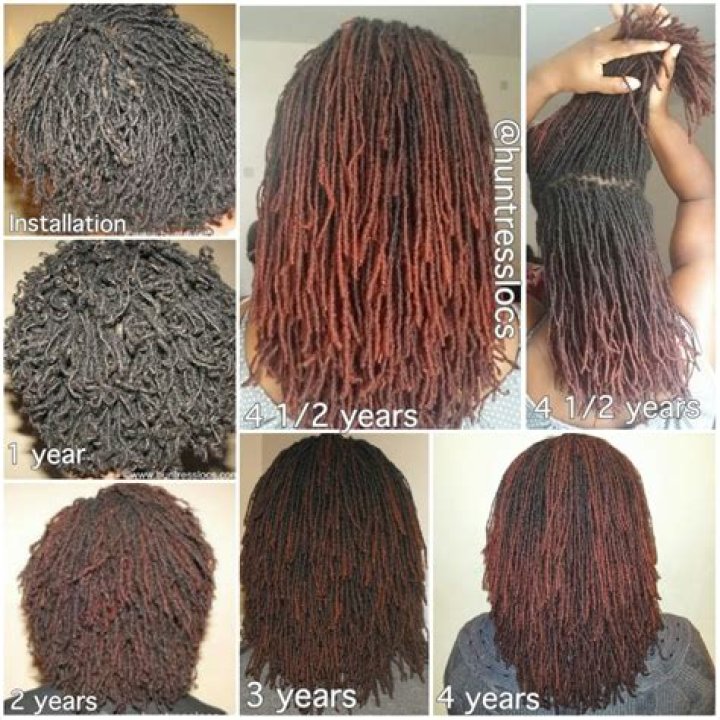 Stages Of Dreadlocks Pictures PictureMeta