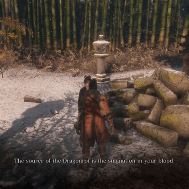 Strange PC Games Review sekiro how to get to mibu village