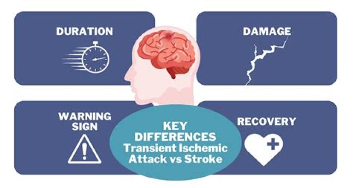 Stroke and Transient Ischemic Attack Clinical Gate