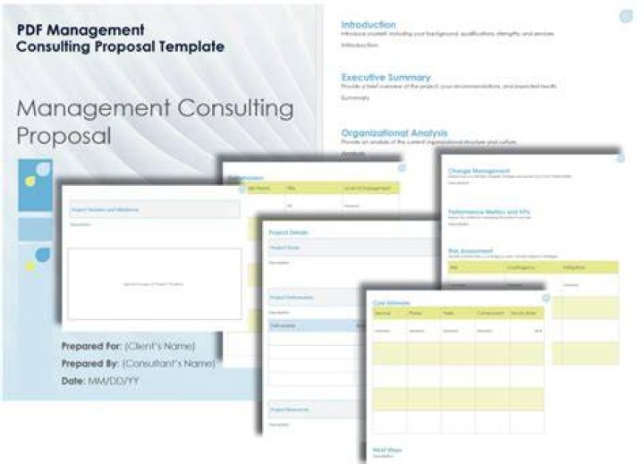 Stunning Management Consulting Proposal Template