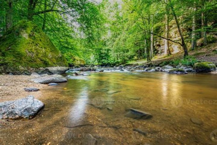 Summer creek 740682 Stock Photo at Vecteezy