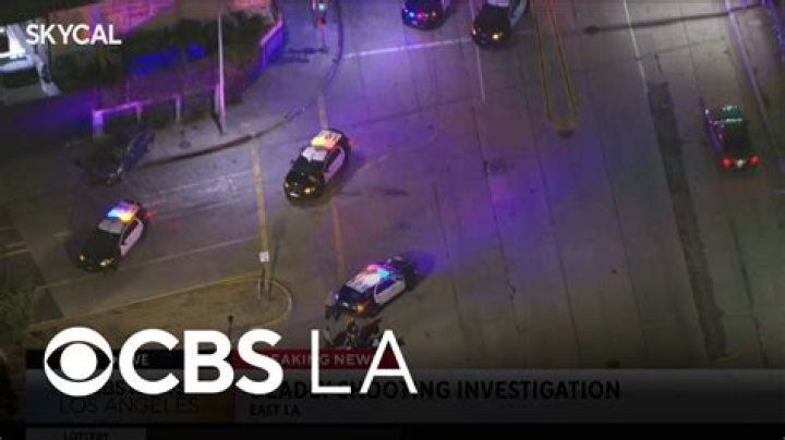 Suspects Flee on Foot After HighSpeed Police Chase Ends in Lauderhill