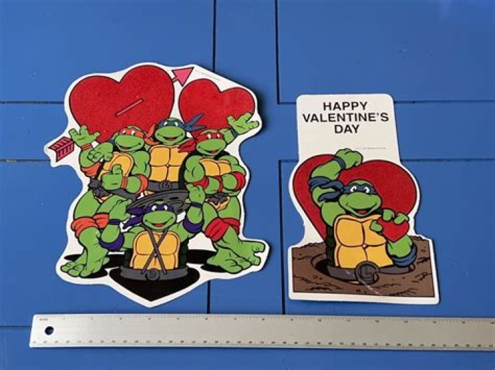 Teenage Mutant Ninja Turtle Valentine Box Valentine Day Boxes
