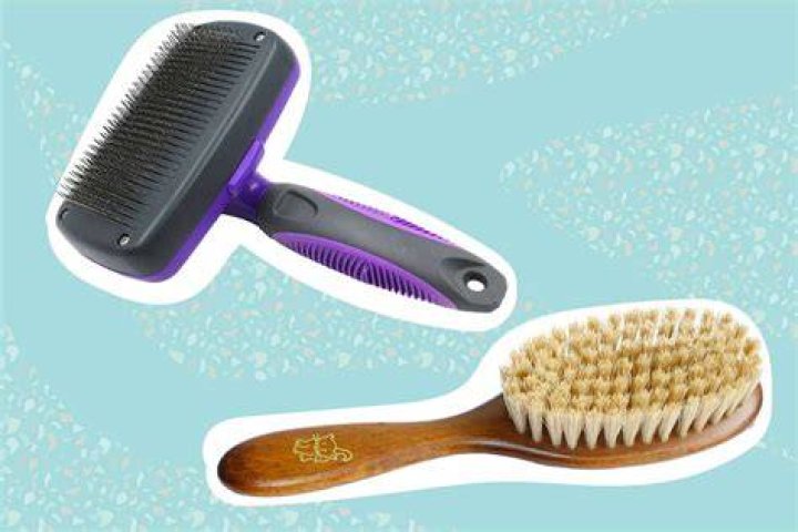 The 5 Best Cat Brushes