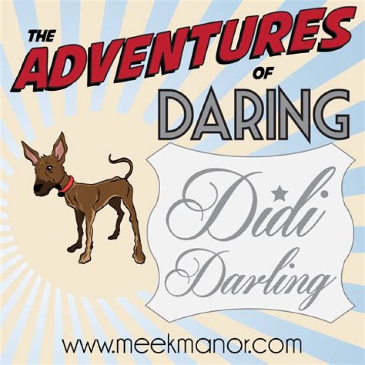 The Adventures of Daring Didi DarlingIssue Twentysix Didi Visits