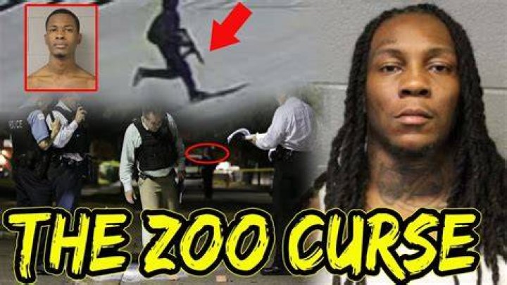 The Chicago Spinner, THF BayZoo Every Opp Dropped After The Zoo Curse