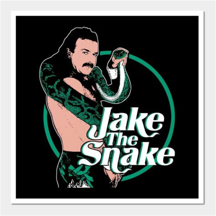 The Crazy Jake The Snake And Undertaker Moment Which Caused A Lot Of