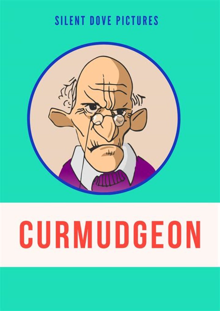 The Curmudgeon
