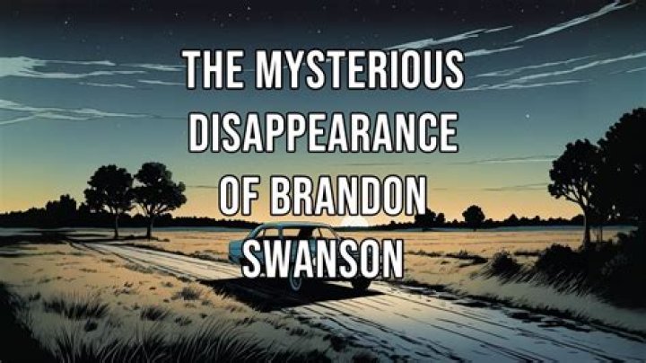 The Mysterious Disappearance of Brandon Swanson by Megan Ashley
