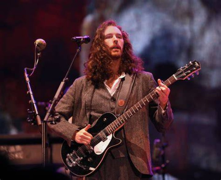 The Truth About Hozier's Relationship Status Insight into the Musician