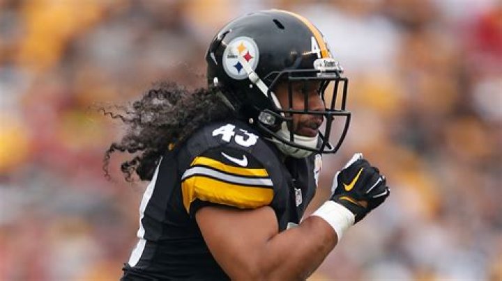 The Truth About Troy Polamalu's Hair