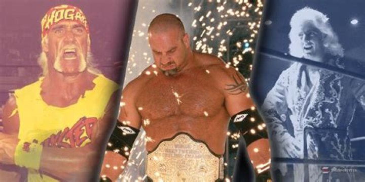 Things Wrestling Fans Should Know About David Schultz