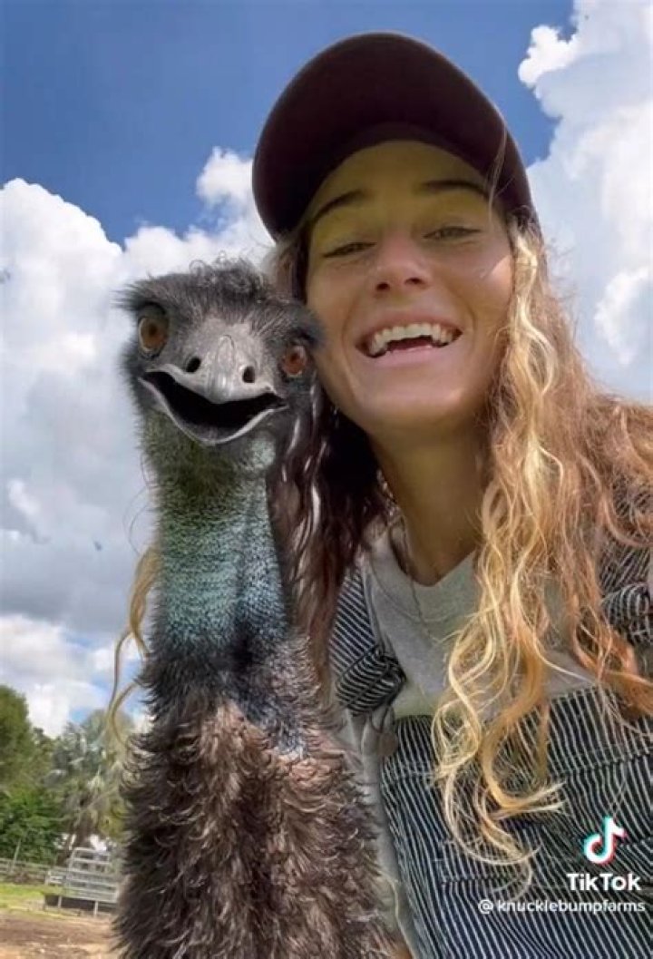 TikTok Famous Emmanuel The Emu Is Recovering After Avian Flu Scare