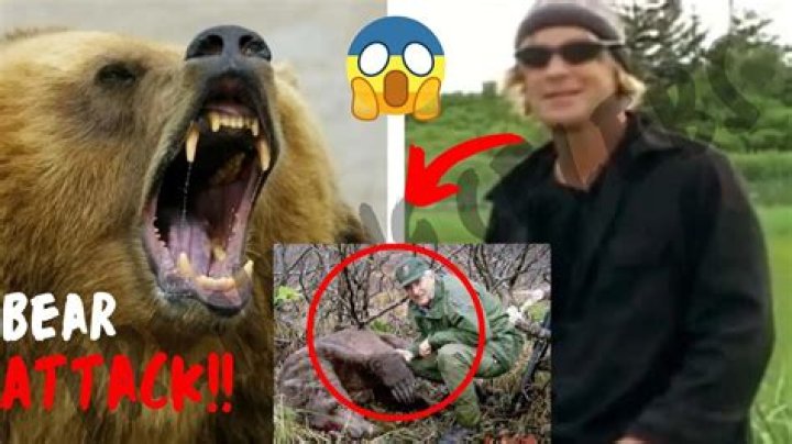 Timothy Treadwell Bear Attack Real Video Twitter and Autopsy Vo