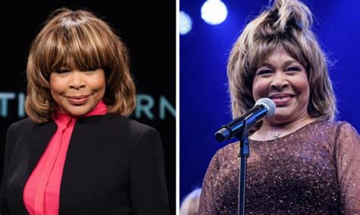 Tina Turner Net Worth Before Death Legendary Singer's 'Mountain High