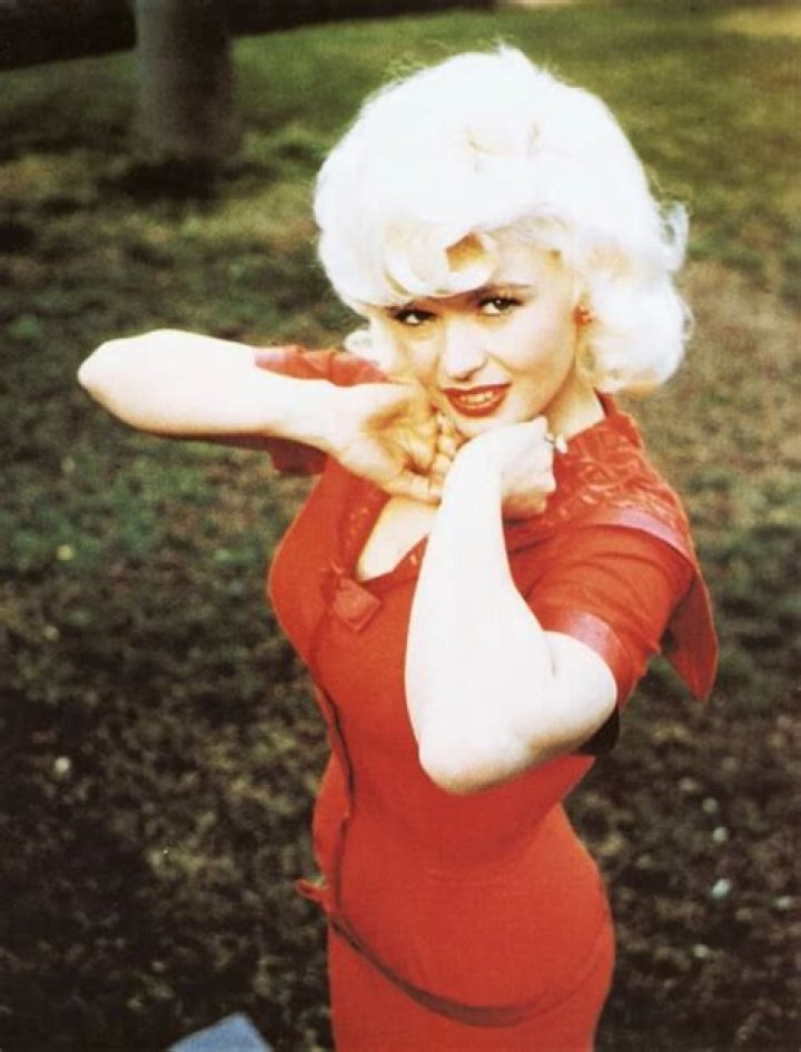 Top 17 Blonde Bombshells in the 1950s Barbara eden, I dream of