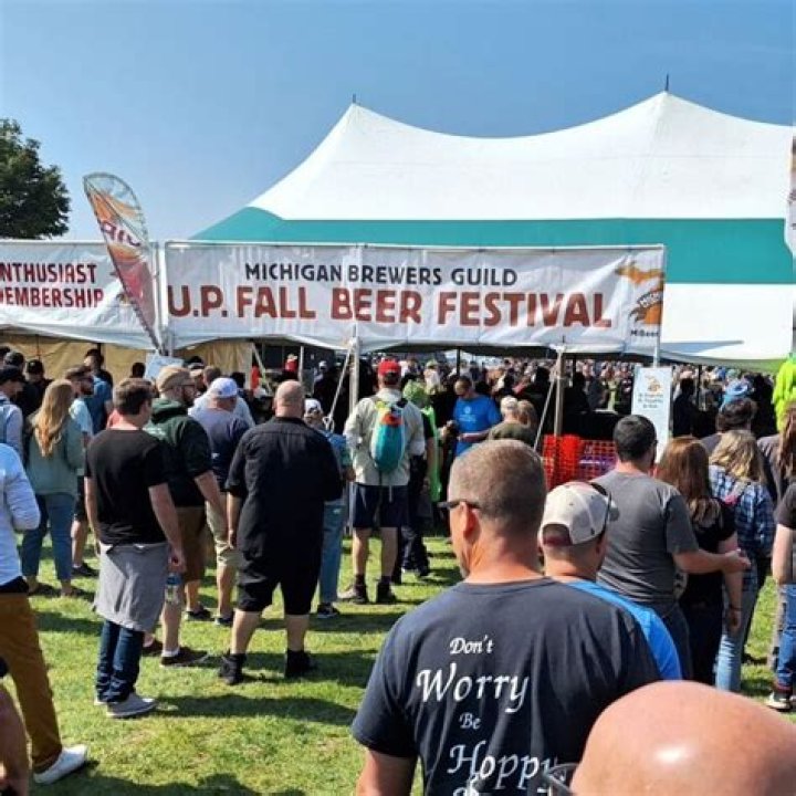 Top 5 Michigan Summer Festivals Third Coast Print