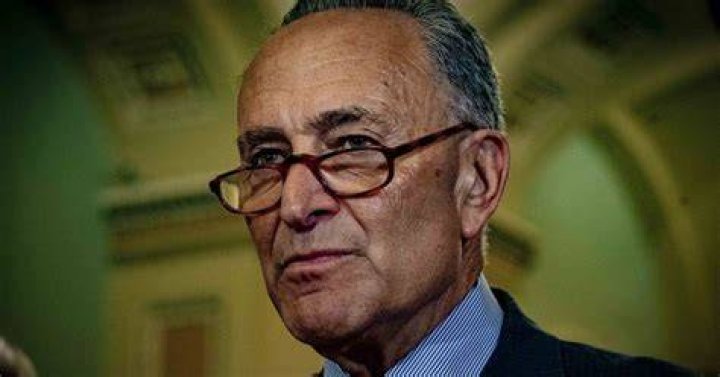 Tricky Dick Schumer WSJ