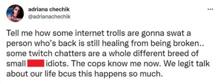 trolls say Adriana Chechik's TwitchCon injury is her fault