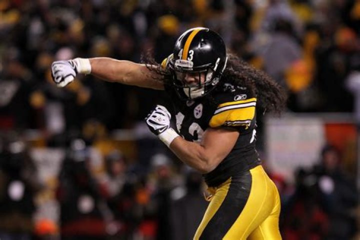 Troy Polamalu / Troy Polamalu Says He Will Attend First Steelers Game