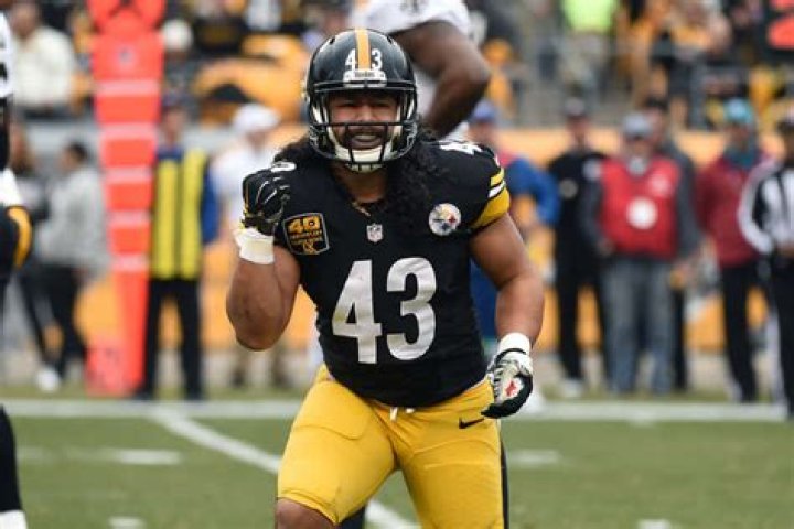 TROY POLAMALU Former Pittsburgh Steelers star is a finalist for Pro