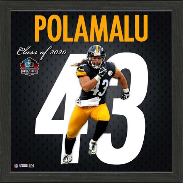 Troy Polamalu Steelers Stuff, Steelers Girl, Steelers Football