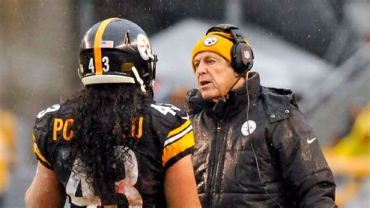 Troy Polamalu Was Once On Track To Be In The &lsquo;Greatest Safety Ever