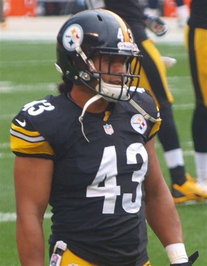 Troy Polamalu Wikiwand