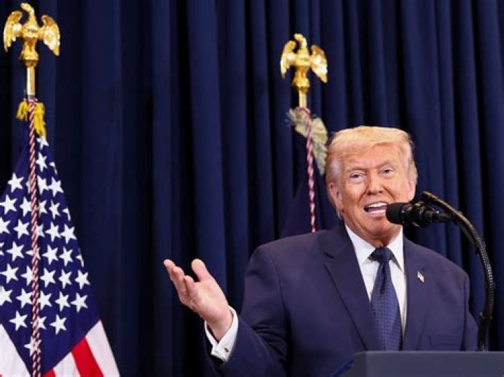 tRump always needs one pretty girl lawyer Bear Insider