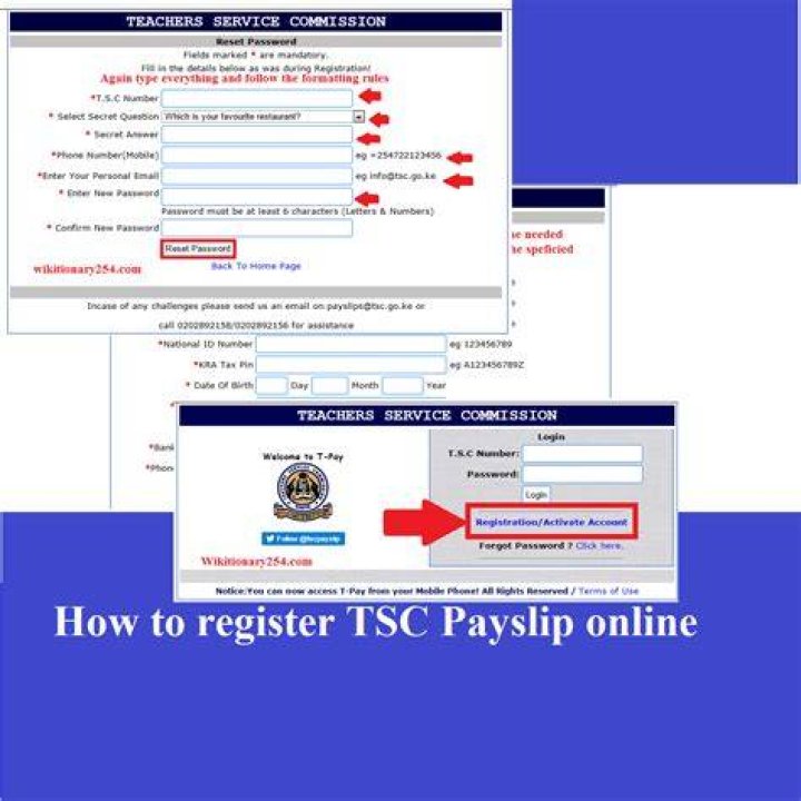 TSC Payslip Online Here is how to register and download your Payslip