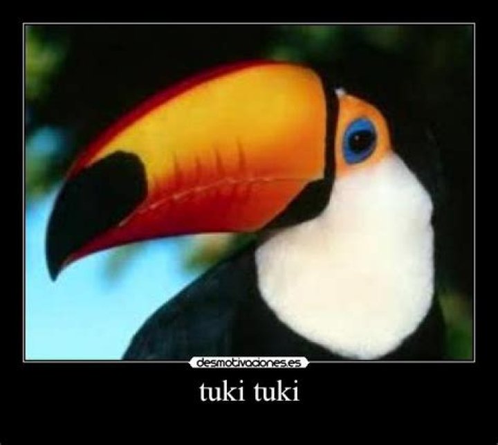 tuki tuki Desmotivaciones