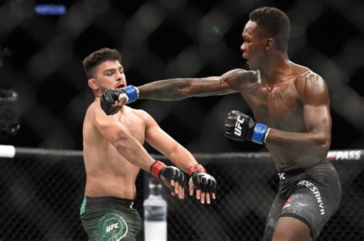 UFC free fight Israel Adesanya exercises his demons with vicious KO of