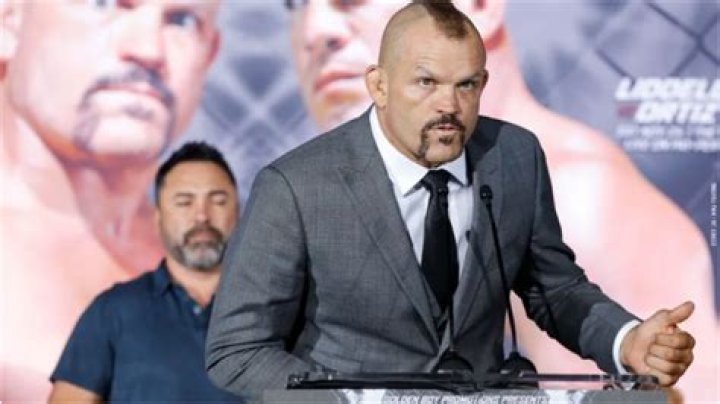 UFC legend Chuck Liddell arrested on domestic violence charge in Los
