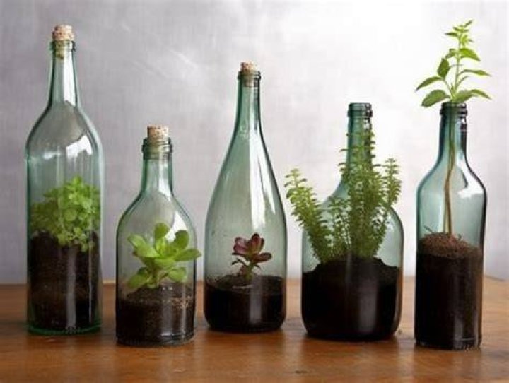 Upcycling Turning Trash into Treasure by Ali Medium