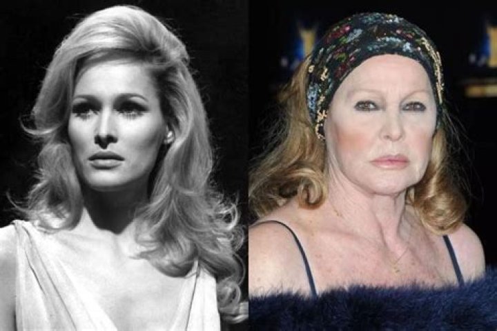 Ursula Andress Bio, Net Worth, Married, Husband, Family, Dating