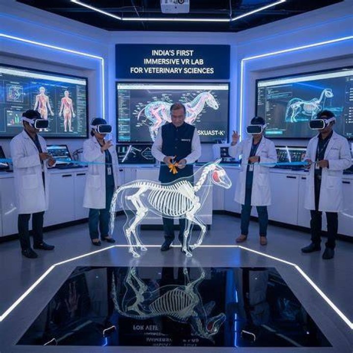 Veterinary Services, Veterinarian, Reality, The Creator, The