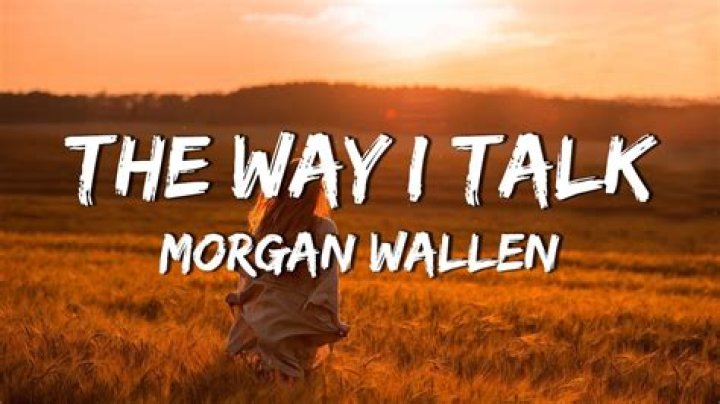 Wallen The Way I Talk Lyrics Genius Lyrics