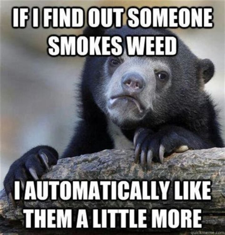 Weed Memes Funny Marijuana and Pot Pics High Guy Meme
