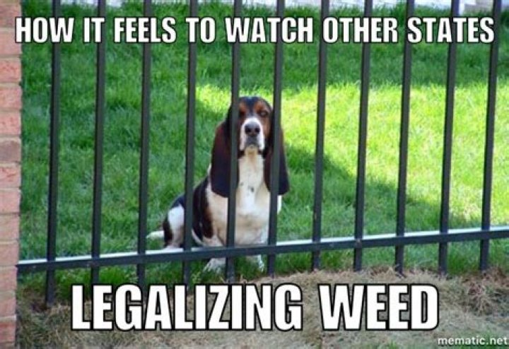 Weed Memes Legalize it. We Think So