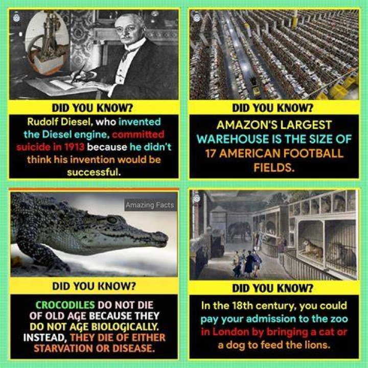Weird Facts, Fun Facts, Famous Twins, Funny Jokes, Hilarious, Wtf Funny