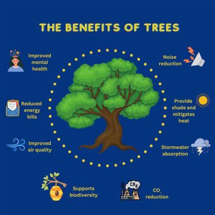 What are the benefits of EMDR Therapy?